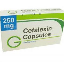 Kup Cefalexin